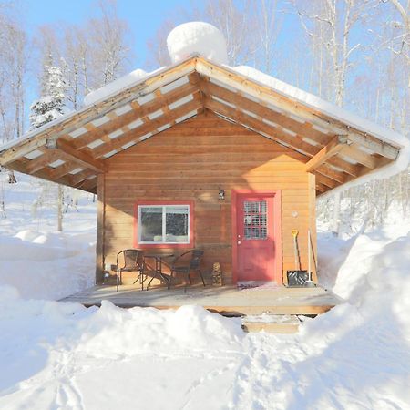 Birch Cabin Talkeetna Kültér fotó