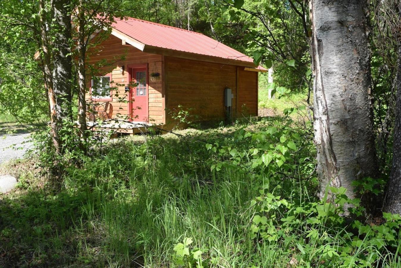Birch Cabin Talkeetna Kültér fotó