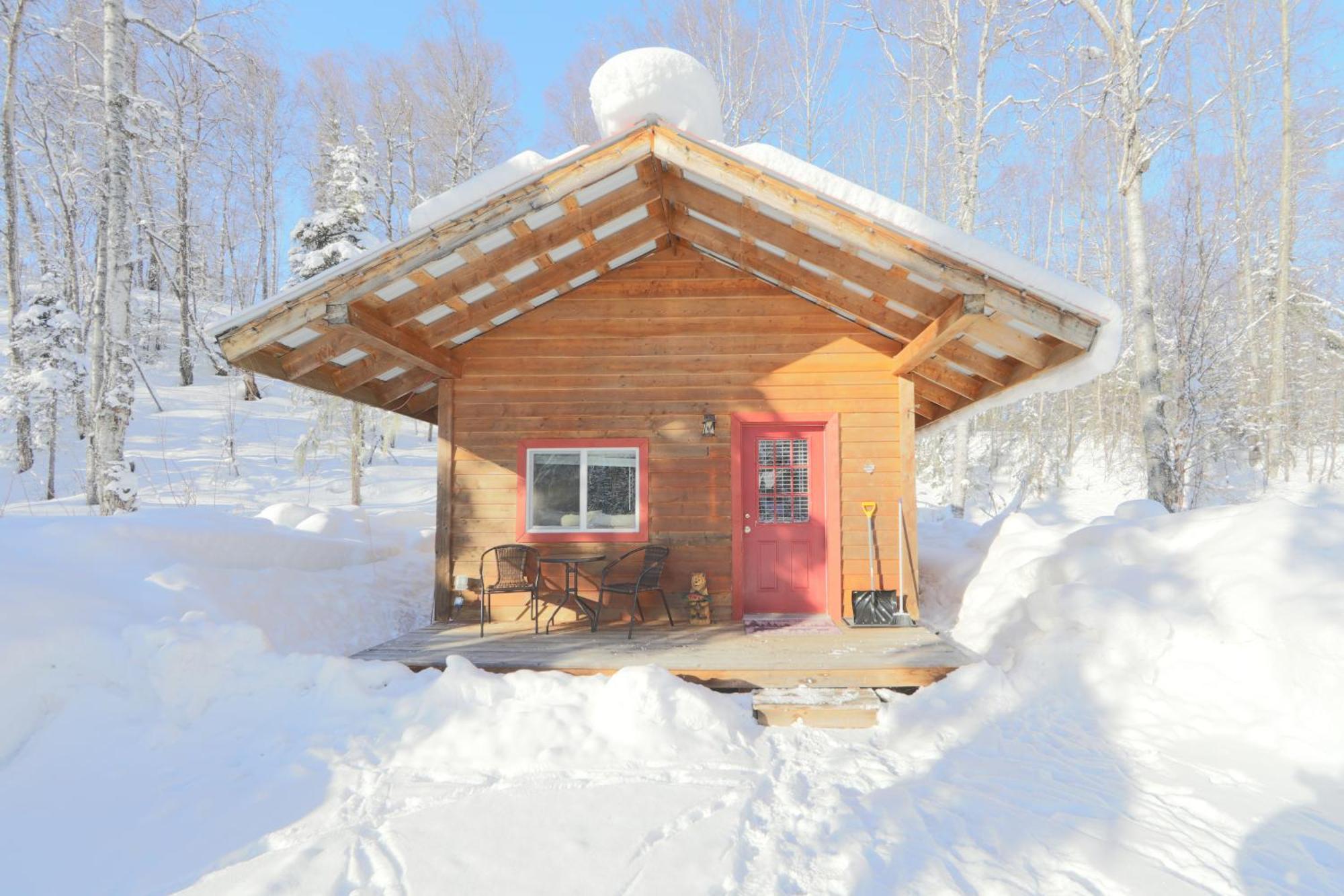 Birch Cabin Talkeetna Kültér fotó